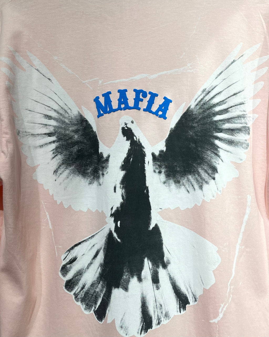 (Baby Pink) Freedom Bird Front-Back Graphic Oversized Tee