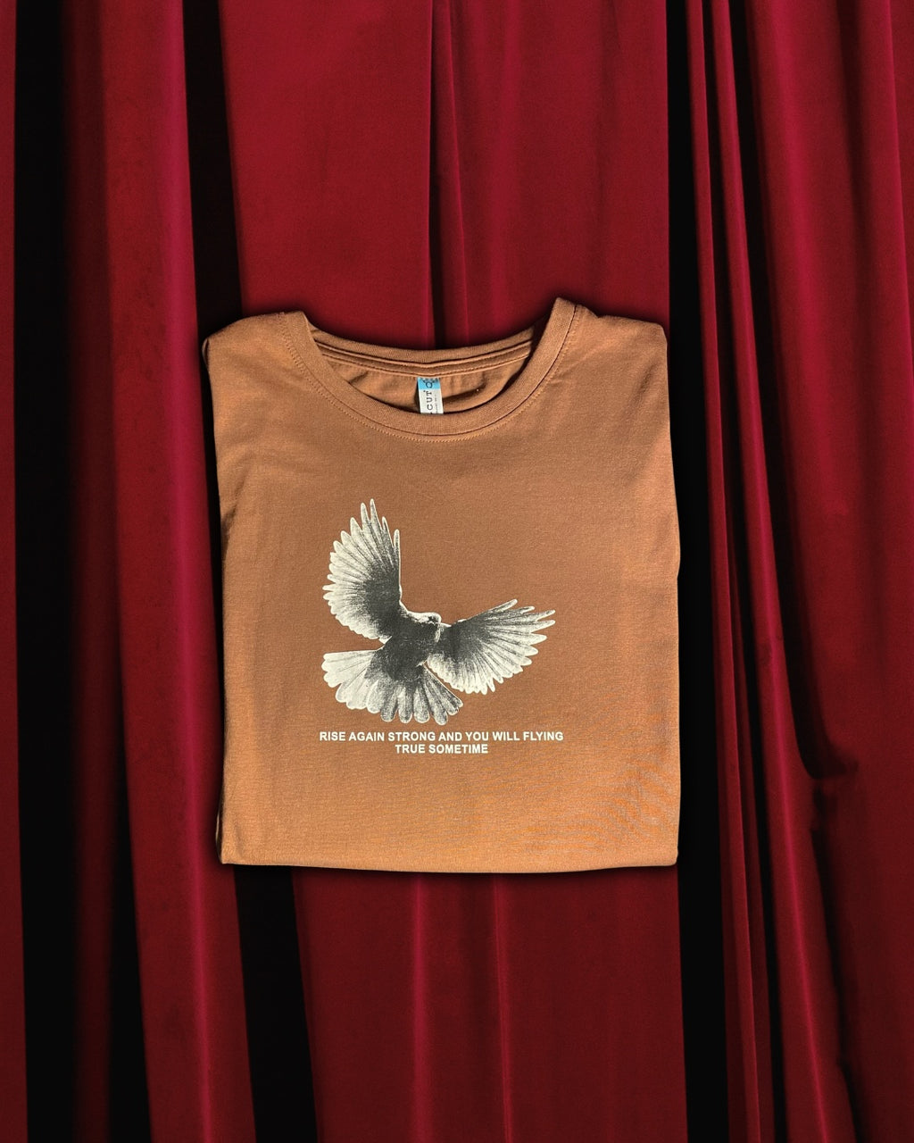 (Brown) Freedom Bird Front-Back Graphic Oversized Tee