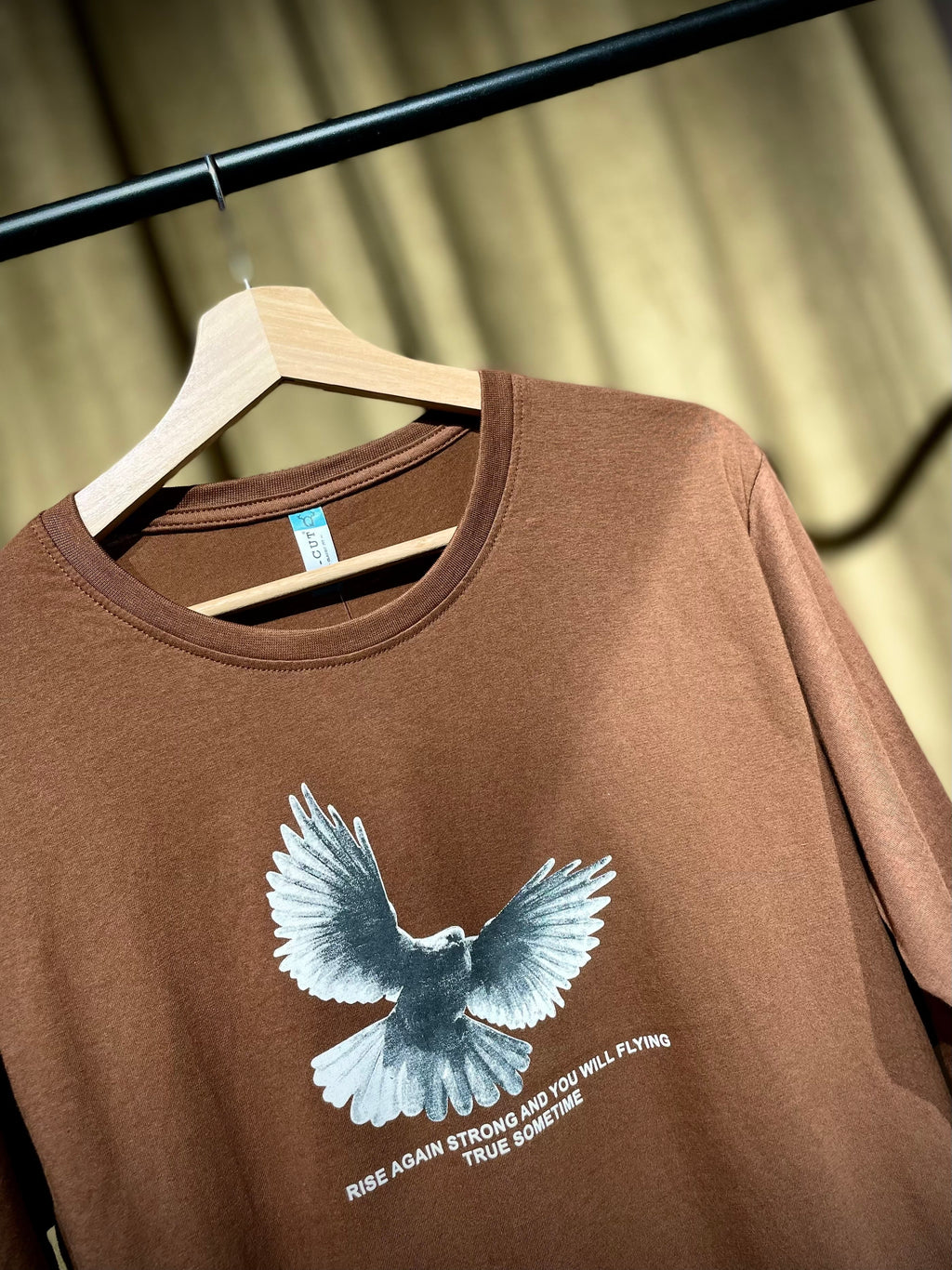 (Brown) Freedom Bird Front-Back Graphic Oversized Tee