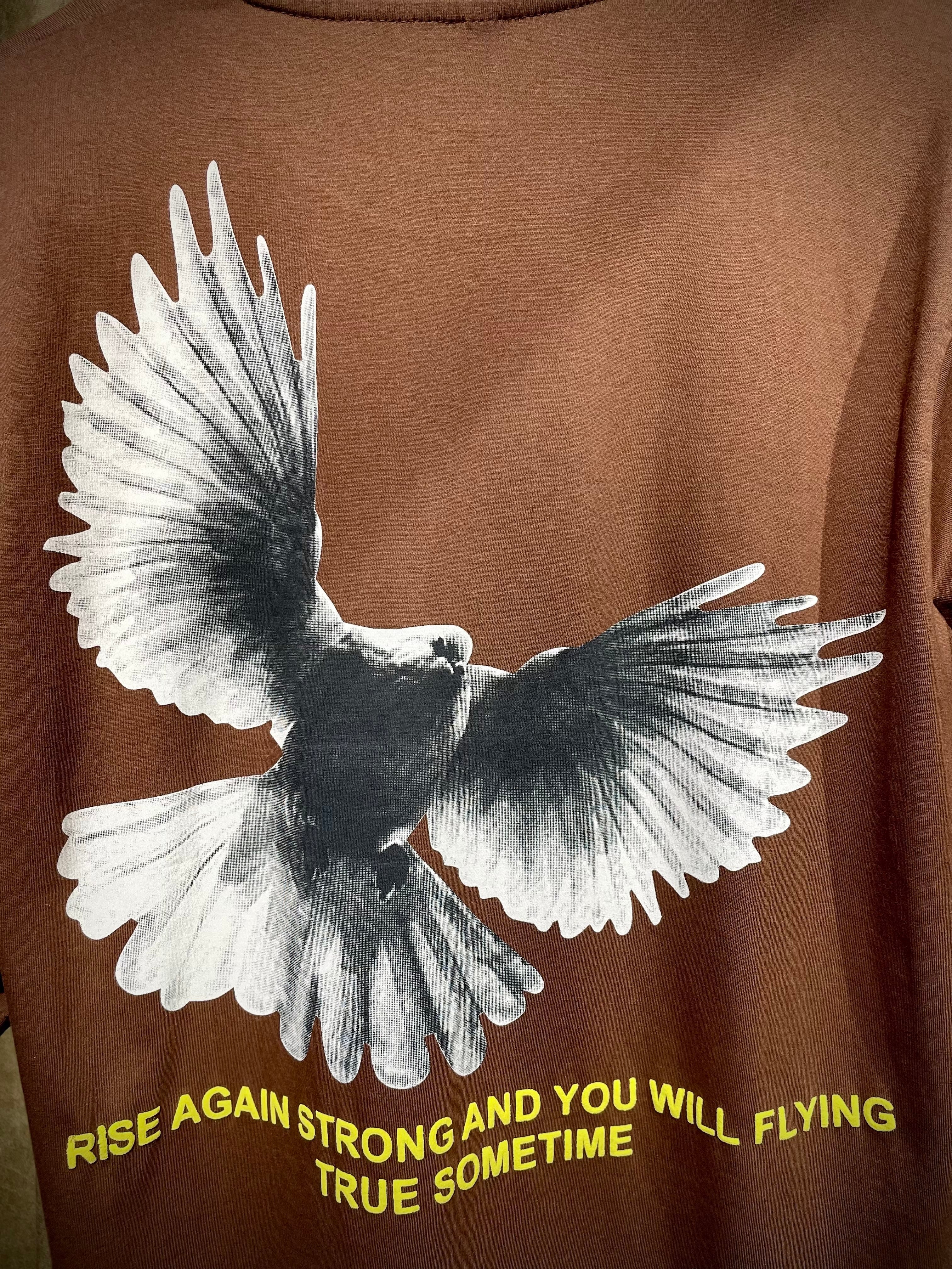 (Brown) Freedom Bird Front-Back Graphic Oversized Tee