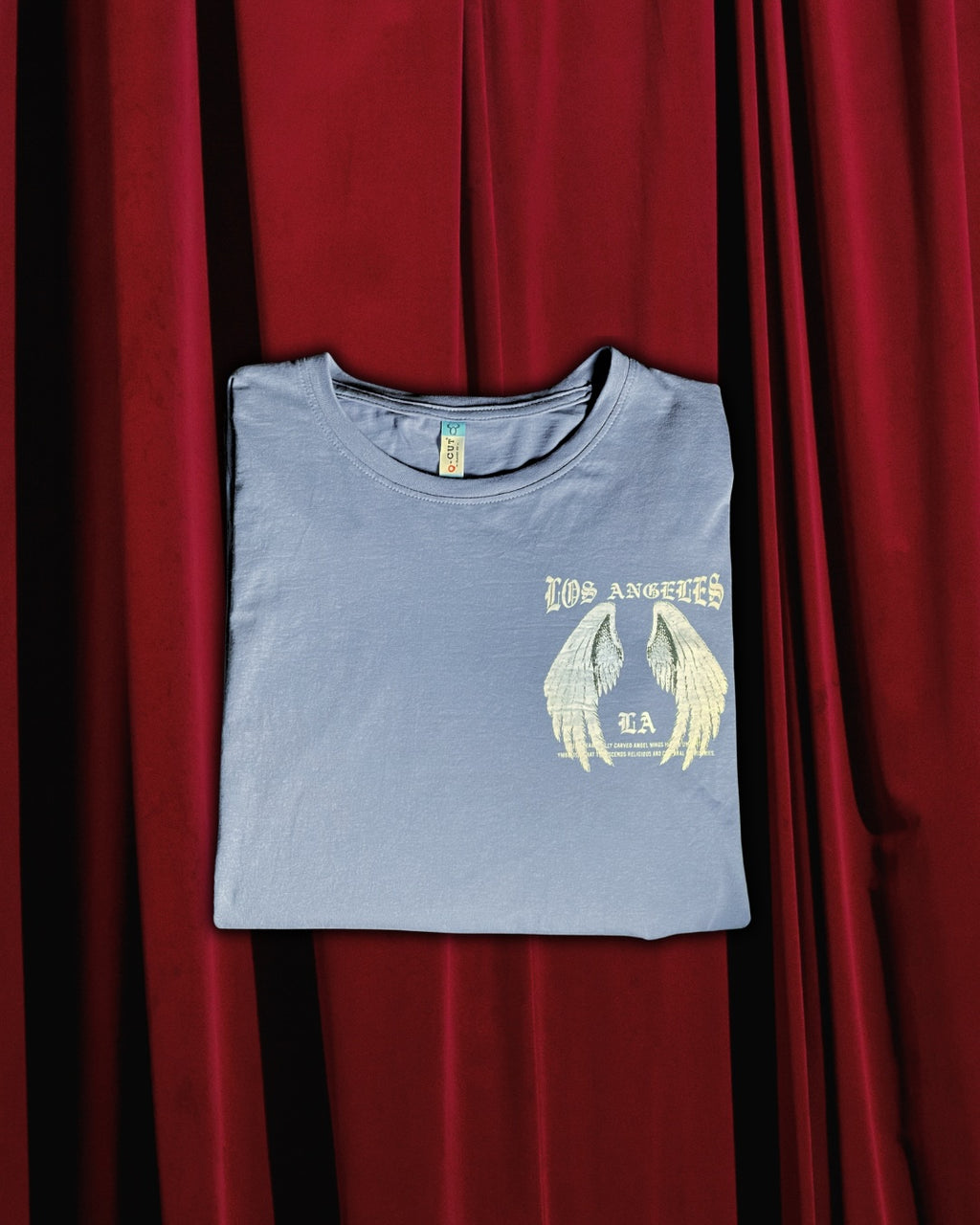 (Glaucous Blue) Freedom Bird Front-Back Graphic Oversized Tee