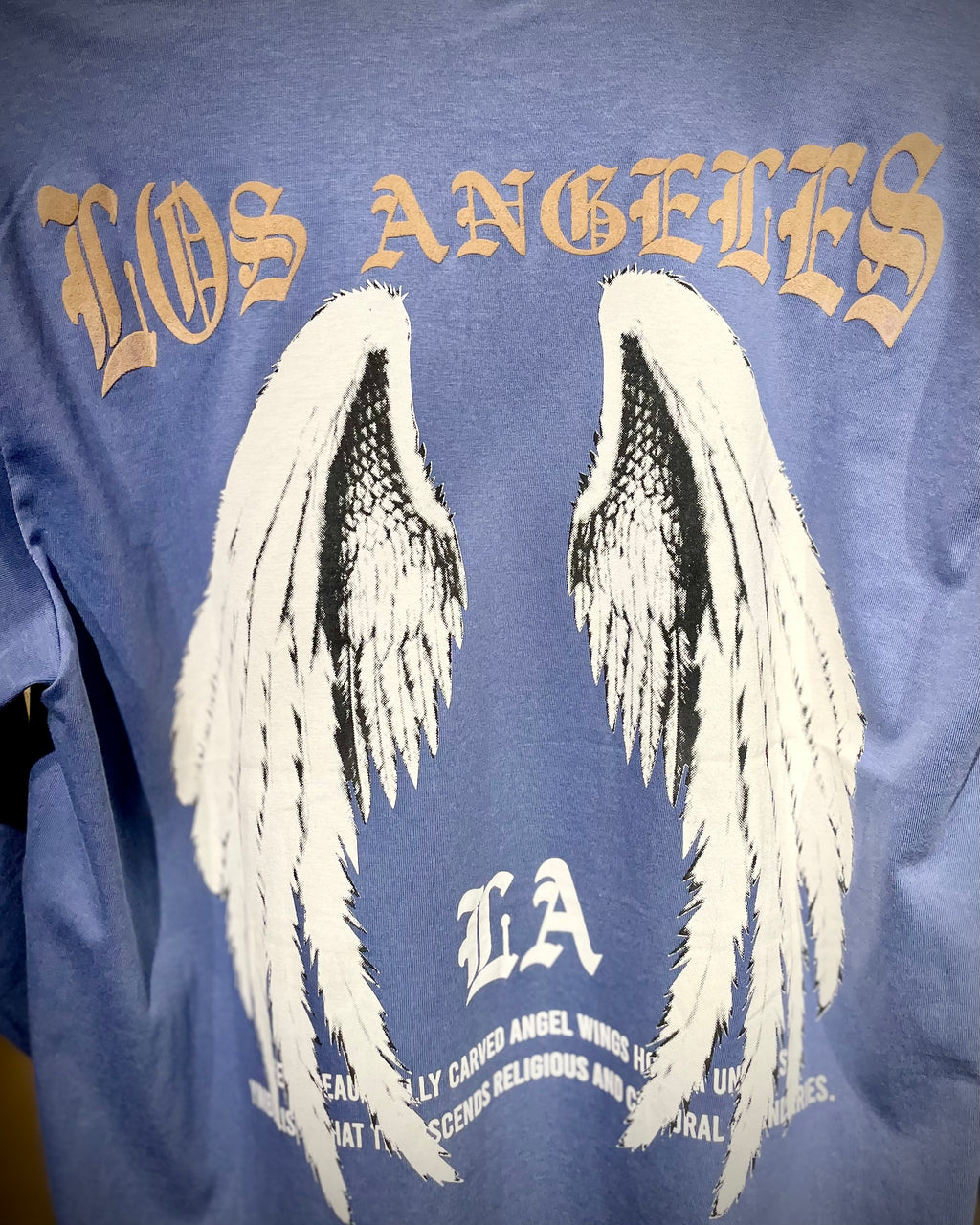 (Glaucous Blue) Freedom Bird Front-Back Graphic Oversized Tee