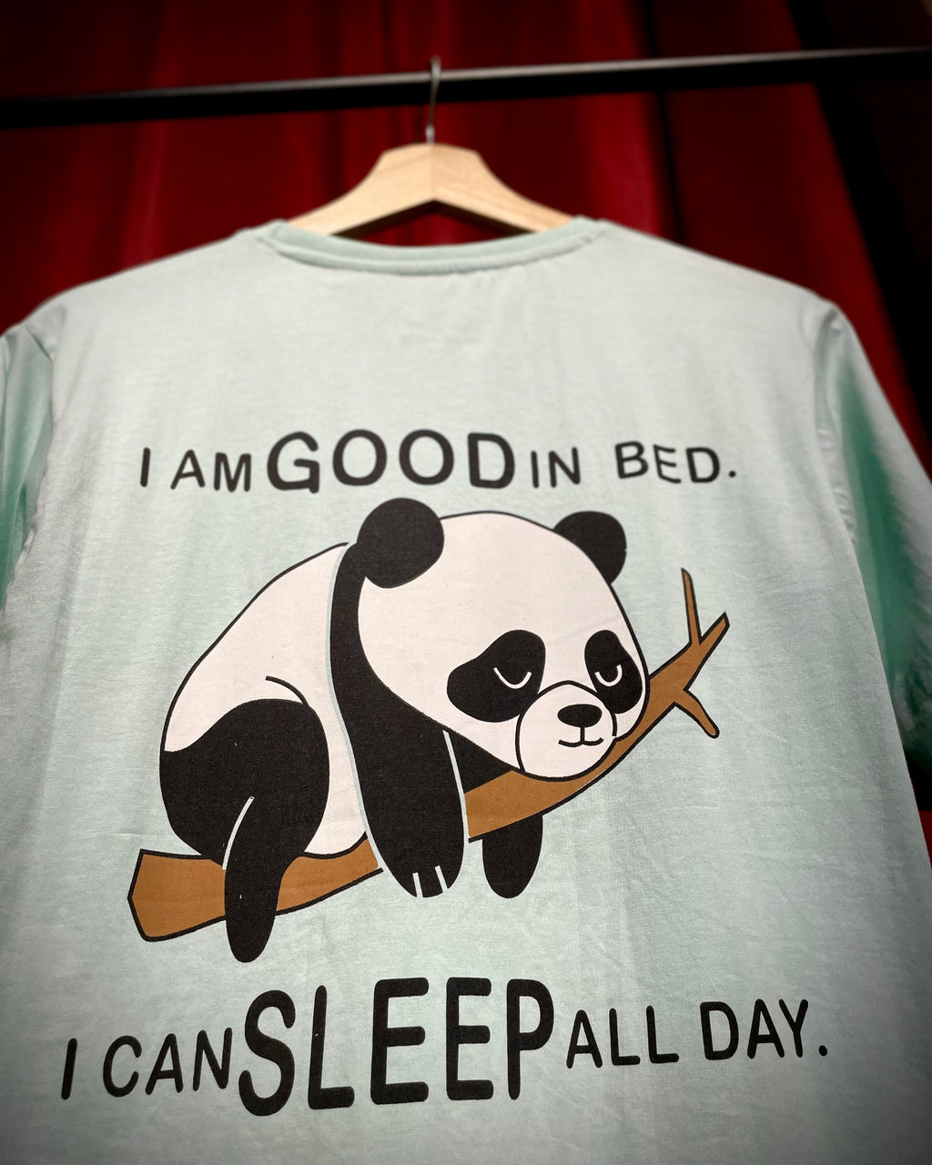 (Mint Green) Sleeping Panda Front-Back Graphic Oversized Tee