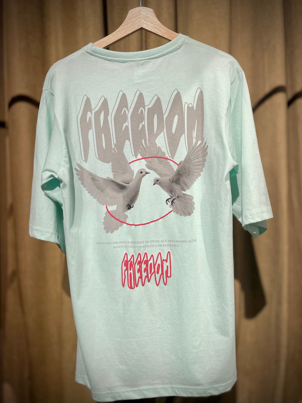 (Sea Green) Freedom Bird Front-Back Graphic Oversized Tee
