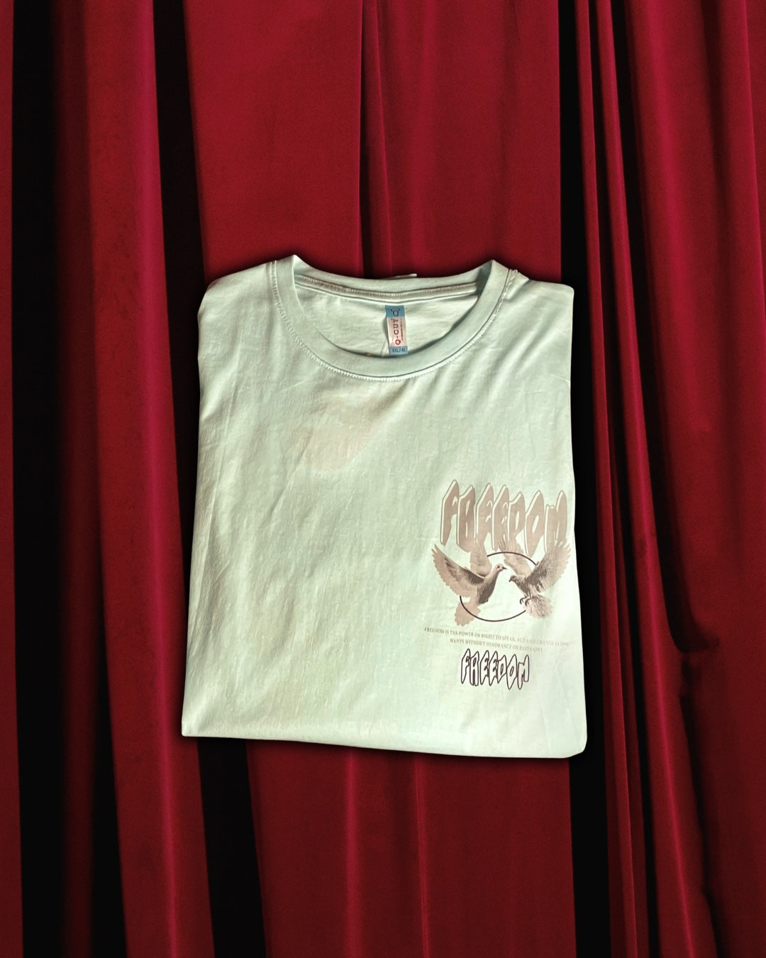 (Sea Green) Freedom Bird Front-Back Graphic Oversized Tee