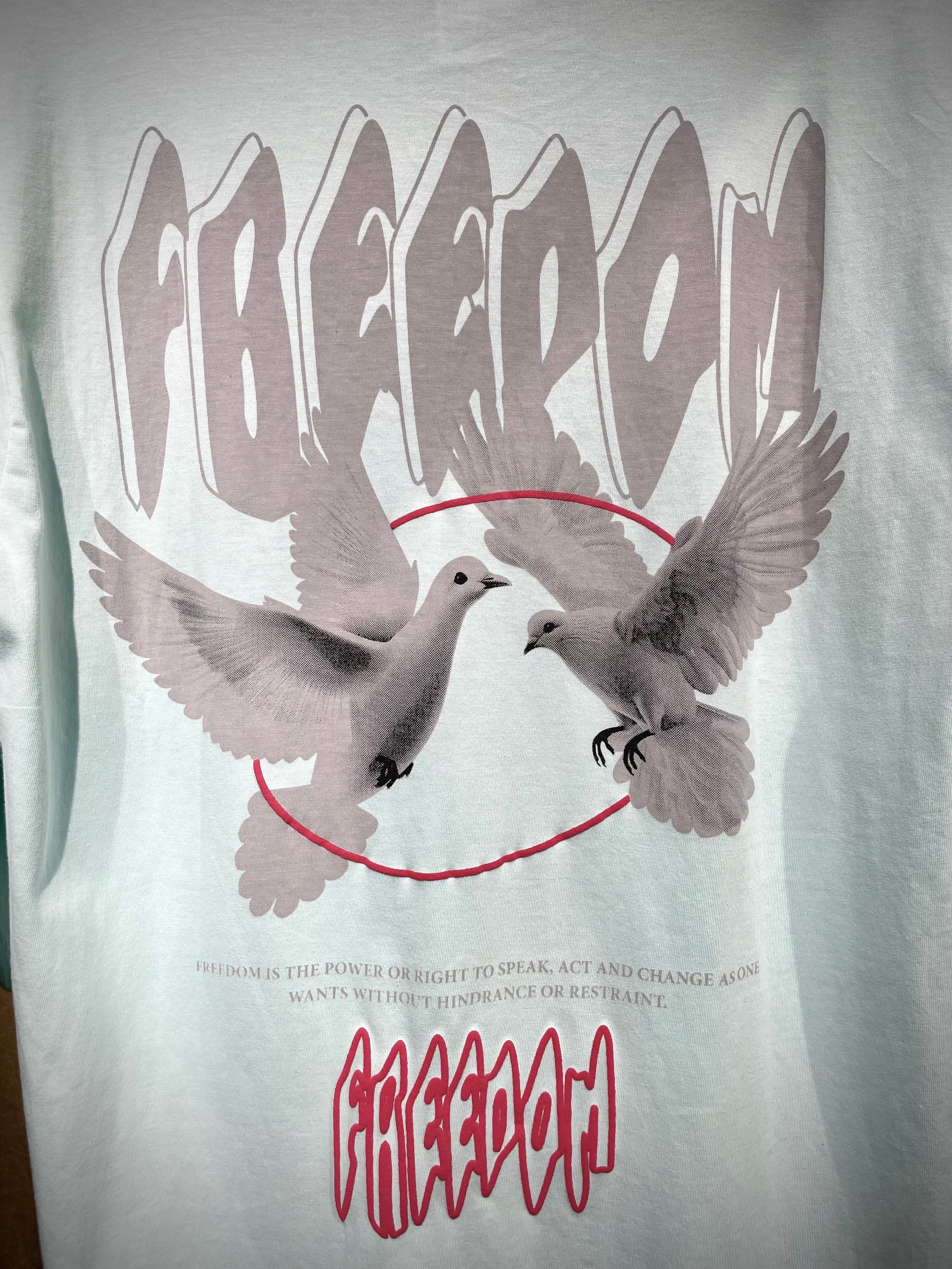 (Sea Green) Freedom Bird Front-Back Graphic Oversized Tee